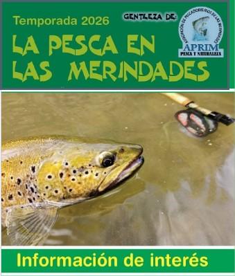 LA PESA EN LAS MERINDADES
